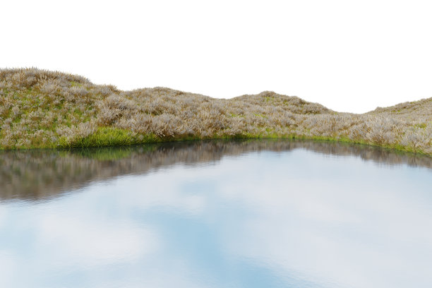 逼真的花田和河。图片下载