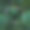 绿色树叶图案与白色框架的自然概念，热带树叶树纹理的背景图片下载