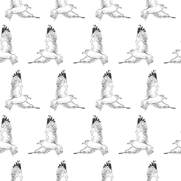 海鸥飞无缝墨画。EPS10矢量图图片下载
