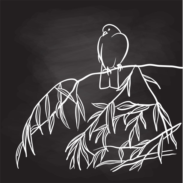 一只鸽子柳枝黑板图片下载