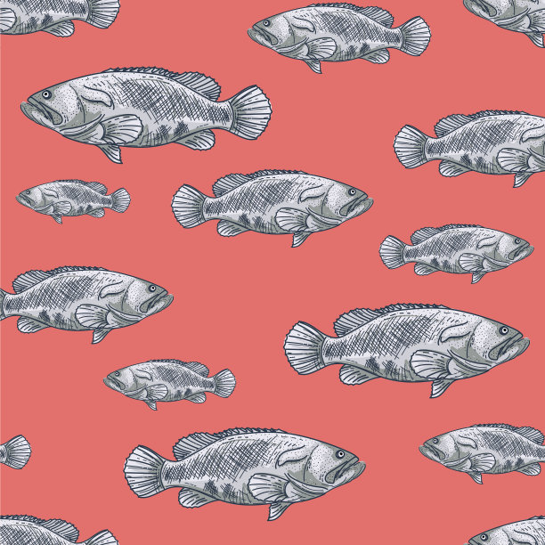 手工绘制无缝图案石斑鱼图片下载