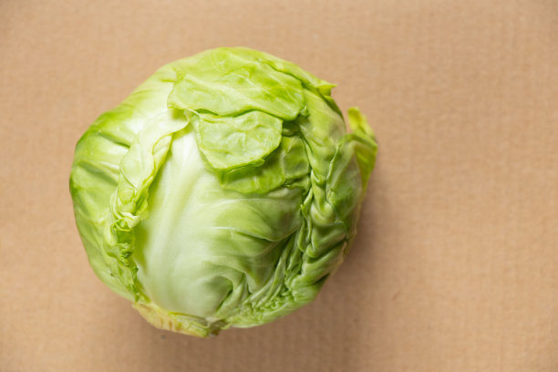 年轻的绿色卷心菜在一个孤立的颜色背景图片下载