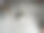 猫坐在地毯地板上图片下载