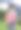 Little Girl with a Butterfly Net重复图片图片下载