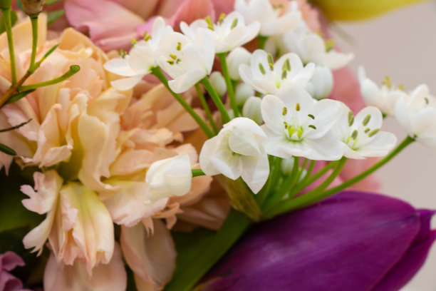 桌上放着一束菊花花图片下载