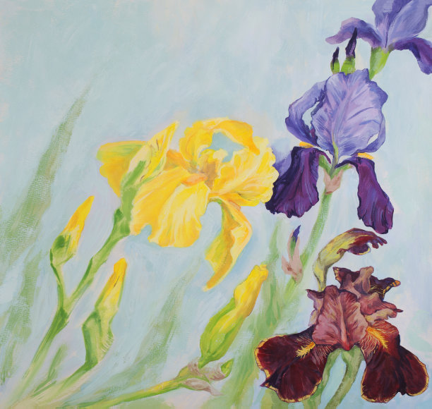时尚的插画现代艺术作品我的油画原画印象派春天静物花三个不同色调的鸢尾花图片下载