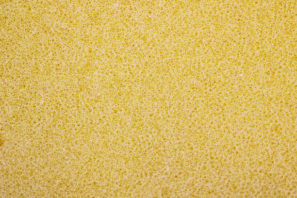 海绵的背景图片下载