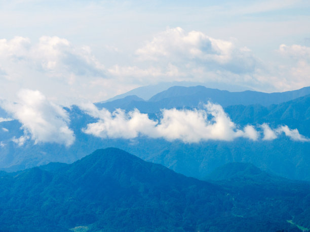 原始的森林云。图片下载