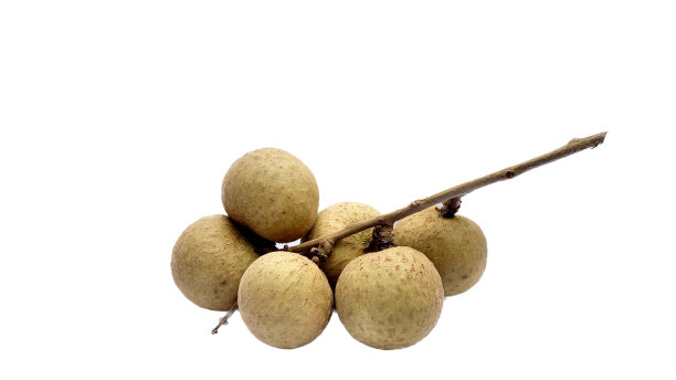 龙眼果实图片下载