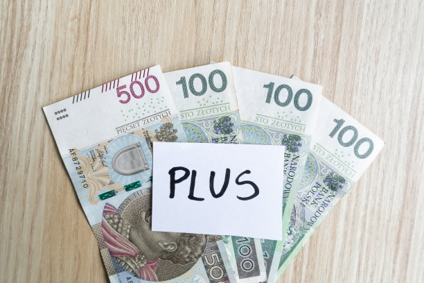 波兰的家庭500 +社会项目增加到800 +。图片下载