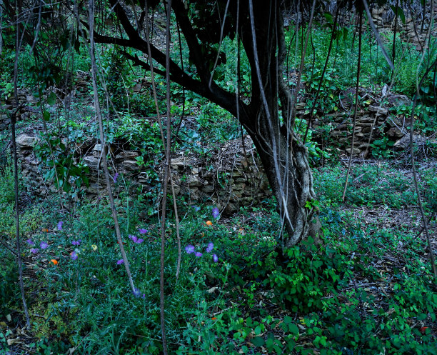 葡萄牙春日风光图片下载