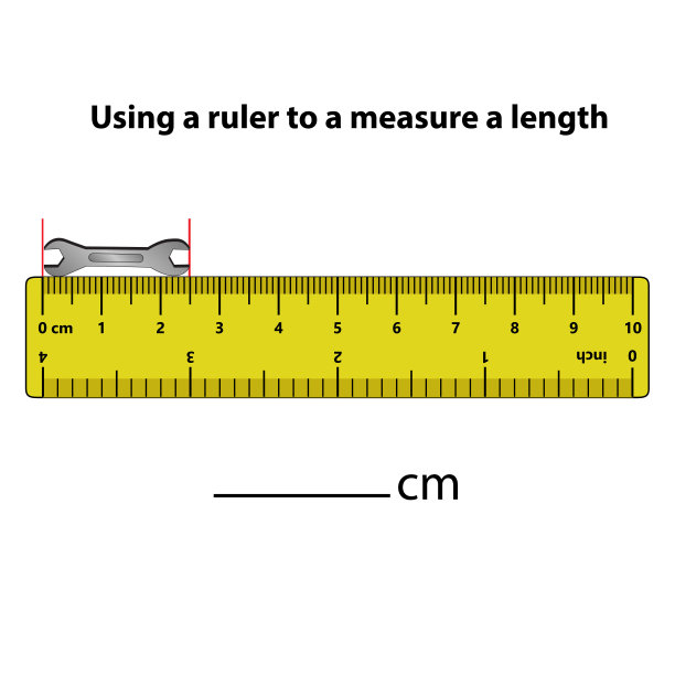 用尺子以厘米为单位测量长度。教育发展工作表。孩子们的游戏。儿童拼图。矢量插图。卡通风格。图片下载