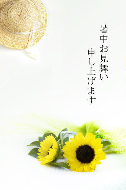 夏日贺卡----太阳花花束和草帽图片下载