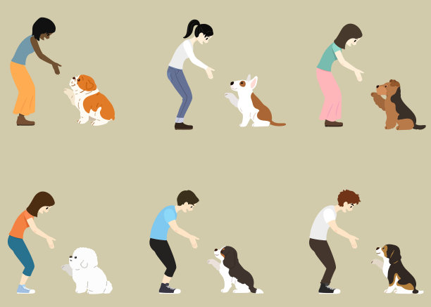 人们与可爱的中等大小的狗狗握手的集合图片下载