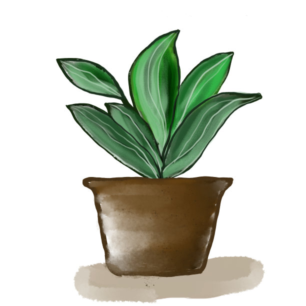 手绘插图的绿色装饰植物dieffenbacachia在一个棕色的锅孤立在一个白色的背景图片下载