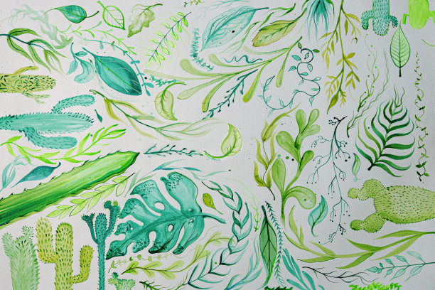 成分的植物图片下载