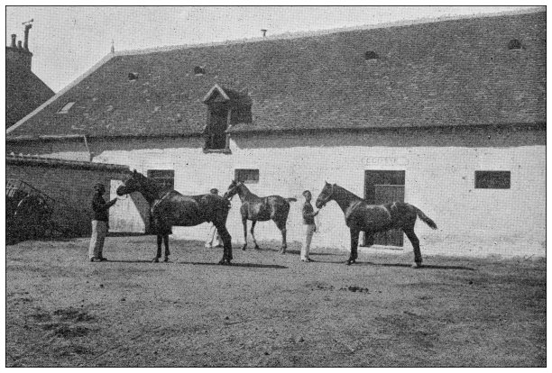 古色古香的图片:训练马匹的马厩，邦纳瓦，因德雷图片下载