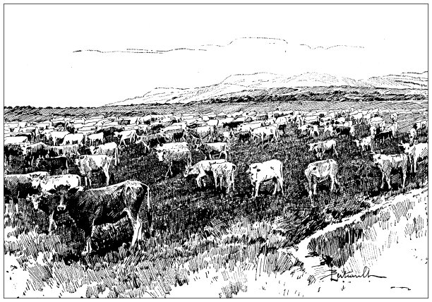 古董形象:牧场图片下载