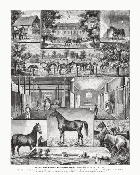 格拉迪茨主要种马农场，萨克森，德国，木版画，出版于1885年图片下载