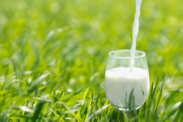 牛奶倒进玻璃杯，洒在青草上图片下载