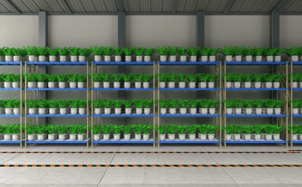 充满植物的温室或温室图片下载