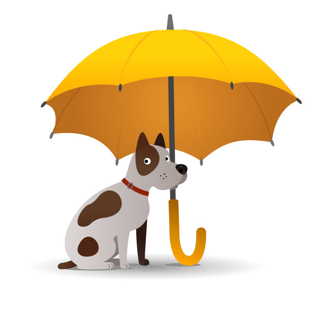狗坐在伞下图片下载