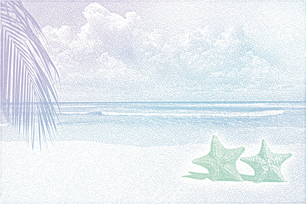 海滩的背景图片下载