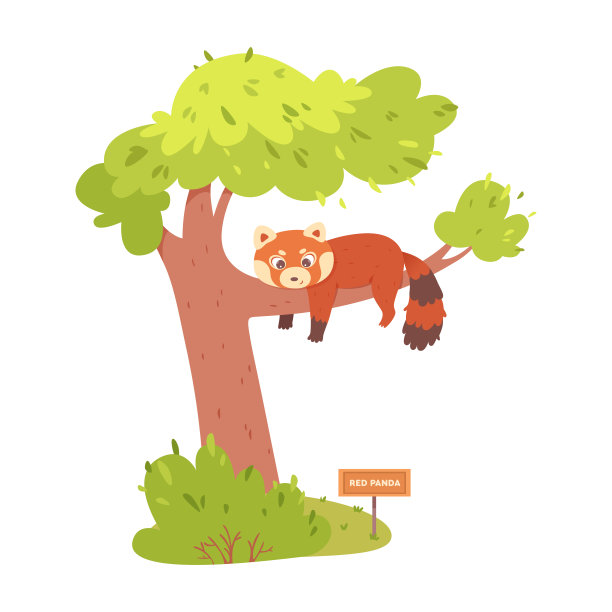 可爱的小熊猫躺在动物园的树枝上，热带植物和有趣的休息动物图片下载