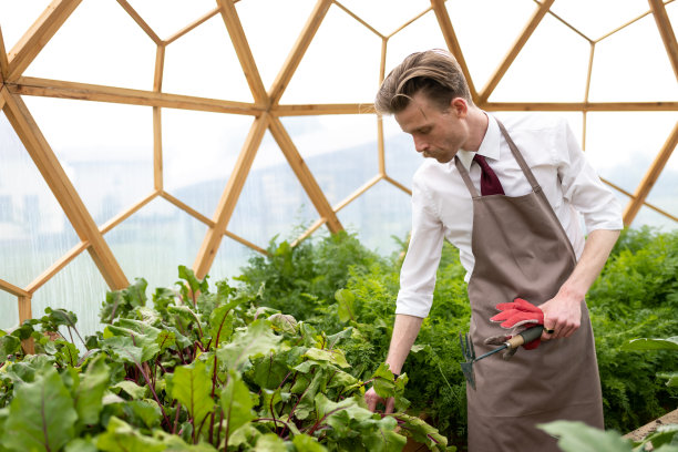 温室里的人耕种菜园和蔬菜。图片下载