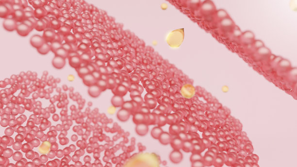 胶原蛋白层和血清分子图片下载