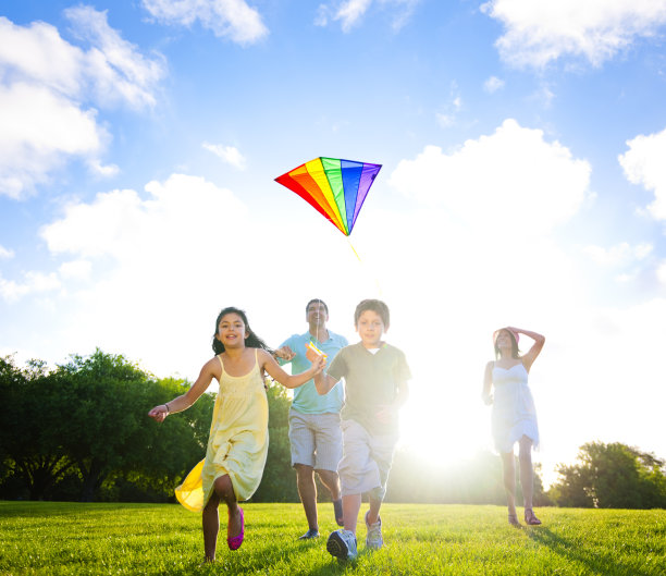 夏季家庭乐趣在公园图片下载