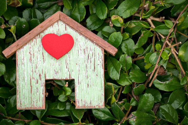 家木放在草地上的公共公园地板，贷款房地产或存钱购买新房子的家庭在未来的概念。图片下载