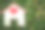 家木放在草地上的公共公园地板，贷款房地产或存钱购买新房子的家庭在未来的概念。图片下载