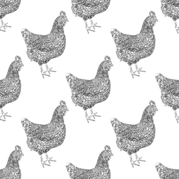 鸡无缝模式矢量插图在水彩和墨水图片下载