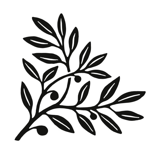 分支用树叶图片下载