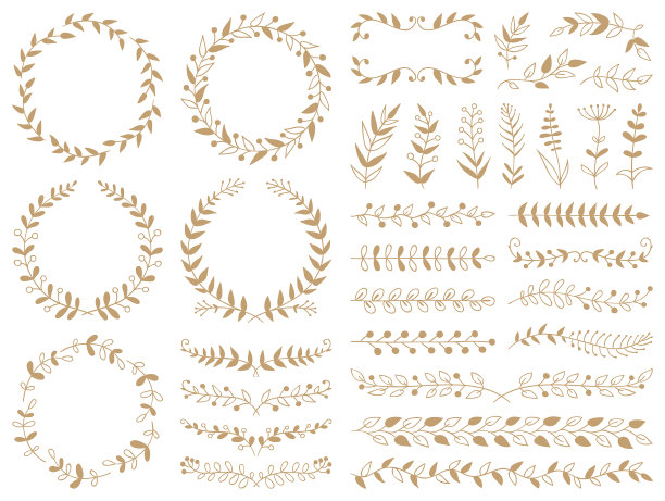 手绘植物，分隔，花环，边框框架图片下载