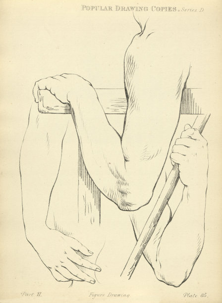 素描和绘制人的手臂和肘部，维多利亚艺术人物画复制了19世纪图片下载