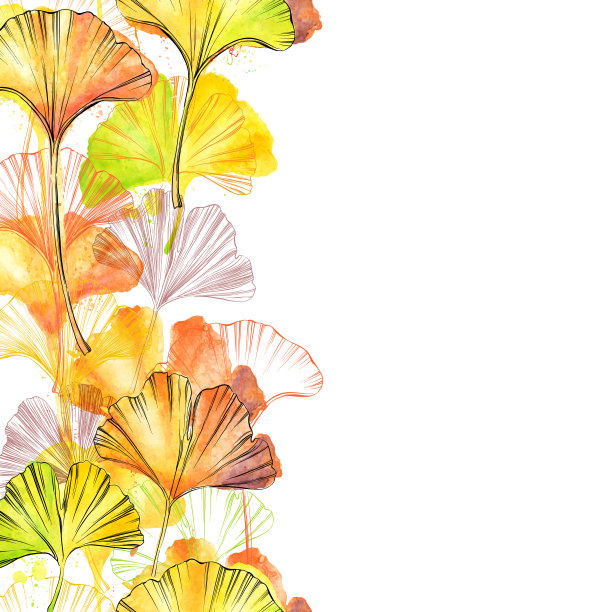 银杏叶墨水边界和水彩无缝模式-矢量插图图片下载