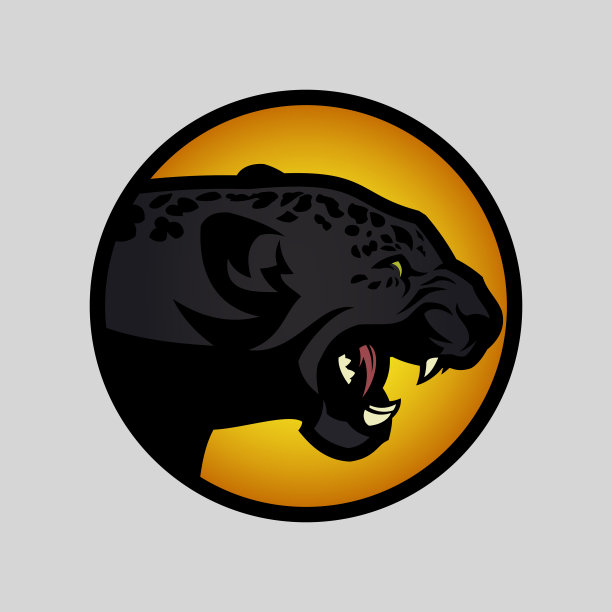 黑豹的头部轮廓围成一圈。愤怒的黑豹或美洲虎图片下载