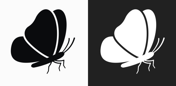 蝴蝶图标上的黑色和白色矢量背景图片下载