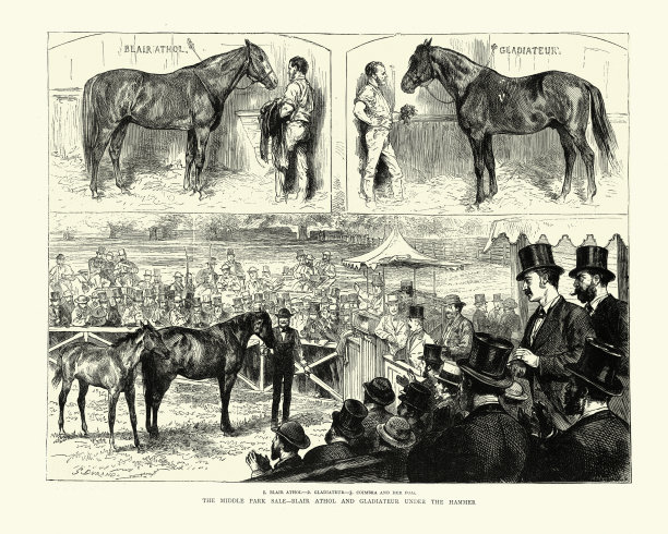 中央公园的马拍卖，拍卖，维多利亚十九世纪图片下载