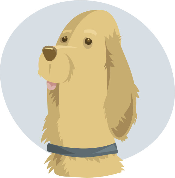 金毛猎犬图片下载