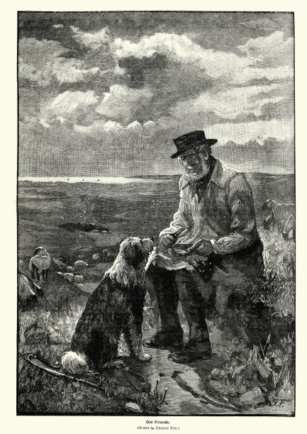 一个人和他的狗，老朋友，谢泼德和牧羊犬图片下载