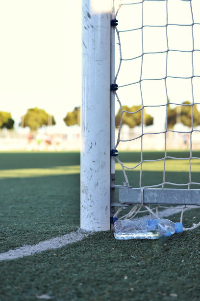 弗莱足球比赛图片下载