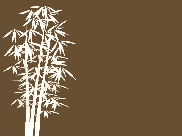 竹子图片下载