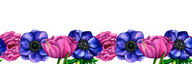 手绘水彩边框花紫罗兰，银莲花和郁金香，粉红色牡丹在白色的背景。春季花卉植物插图隔离贺卡，婚礼邀请，生日和母亲节贺卡。图片下载