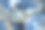 抽象bacground。彩色丙烯酸倒流体艺术。三维演示图片下载