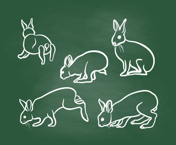 兔子在行动黑板图片下载