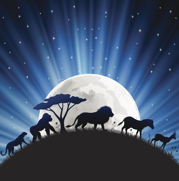 Safari在晚上图片下载