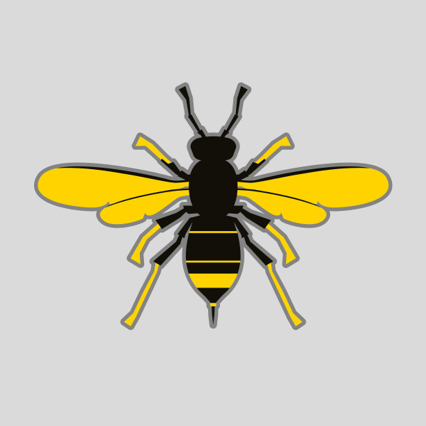 亚洲黄蜂绒毛黑胸图示图片下载